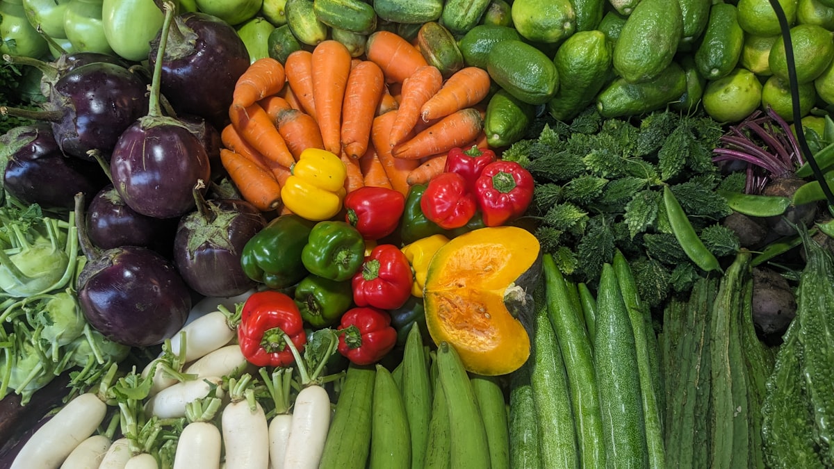 Personalized nutrition coaching and wellness guidance